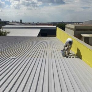Roof Repairs Dunswart
