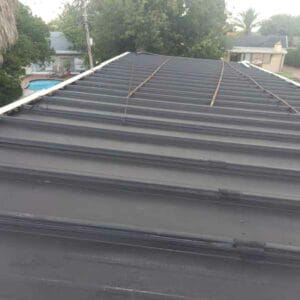 Roof Painting