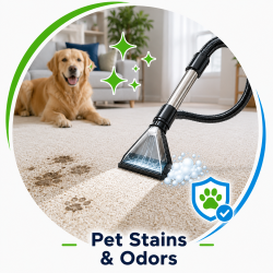 Pet Stains and Odors