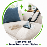 Non Permanent Stains and Odors