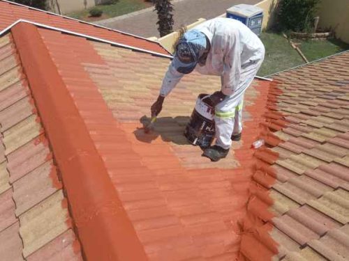 Roof Painting