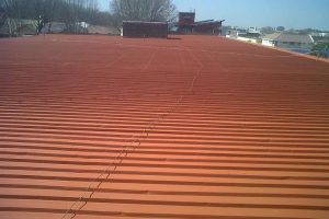 Commercial Roof Maintenance & Painting